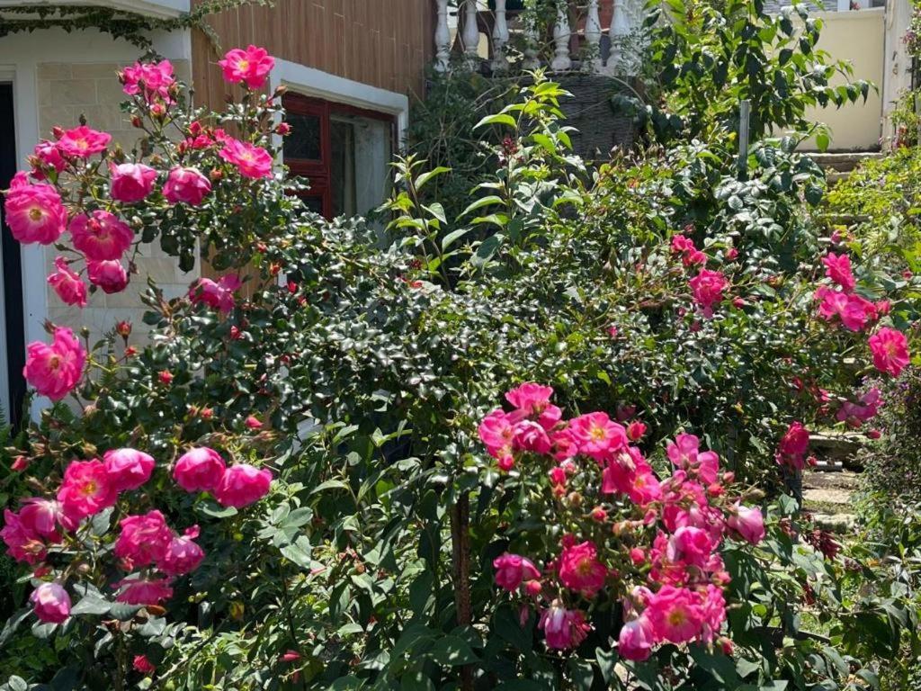 La Roza Dalat Boutique Hotel 외부 사진