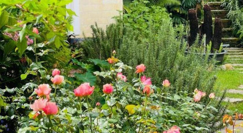 La Roza Dalat Boutique Hotel 외부 사진