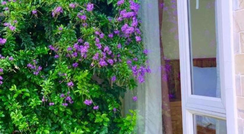 La Roza Dalat Boutique Hotel 외부 사진