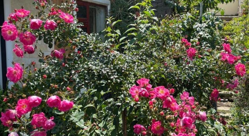 La Roza Dalat Boutique Hotel 외부 사진